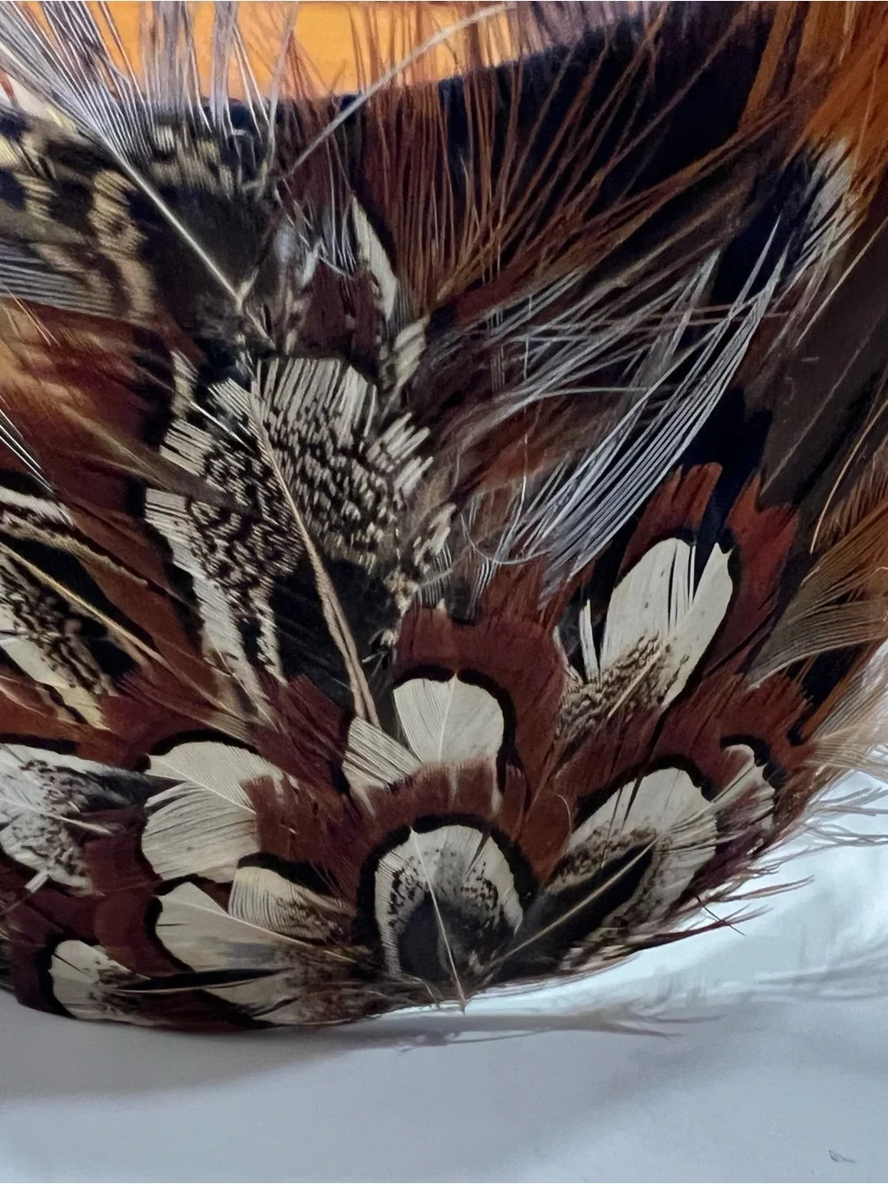 Vintage 40s/50s Pheasant Feather Headband Half Hat Fascinator Pin Up Whimsy